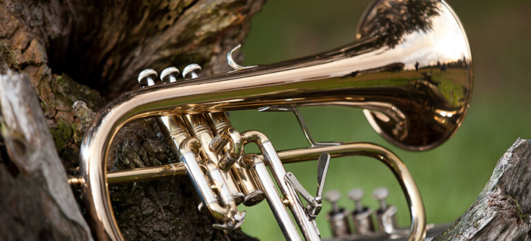 Valentijnsconcert met De Eendracht